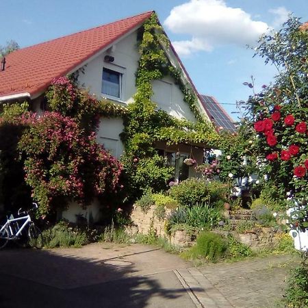 Pluderhausen Moebliertes Zimmer, Pluederhausen מראה חיצוני תמונה